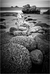 586 - PORTH NANVEN BOULDER STREAM - GRANT ALAN - united kingdom <div : bird